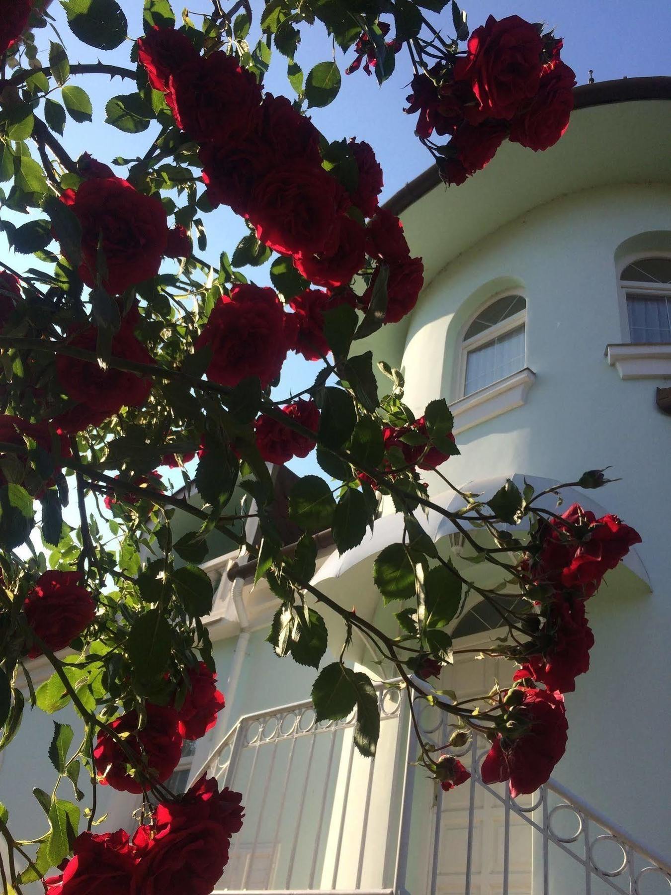 Villa Valeria ヘーヴィーズ エクステリア 写真